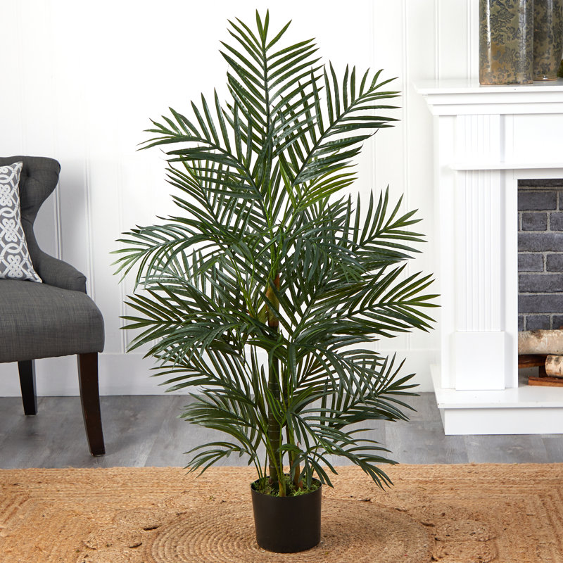 Areca Palm Tree in Pot, 42" H x 28" W x 28" D