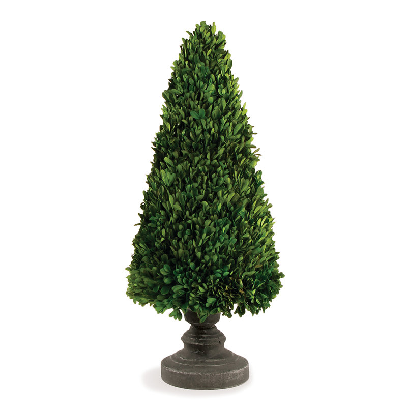 Topiaire buis conique, H 27,5 po x l 10,5 po x P 10,5 po