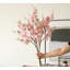 Fleurs simulées, fausses fleurs, fleurs séchées, décoration florale