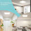 LED Spotlight-1955692496