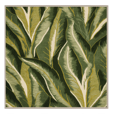  Tapis lavable Endive Cichorium endivia