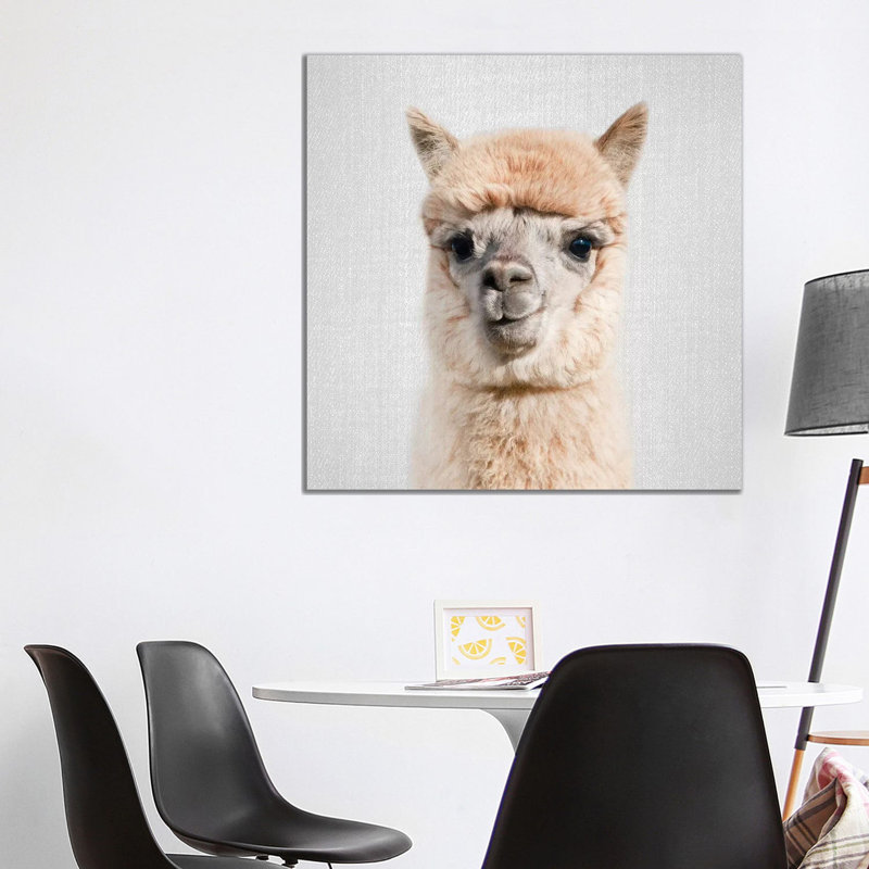 Alpaca - Lycoming Glasses 1 Piece Wrapped Canvas Wall Art, 93.98 cm H x 93.98 cm W x 1.91 cm D