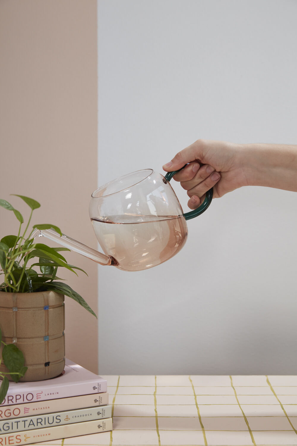 Mervin Watering Can