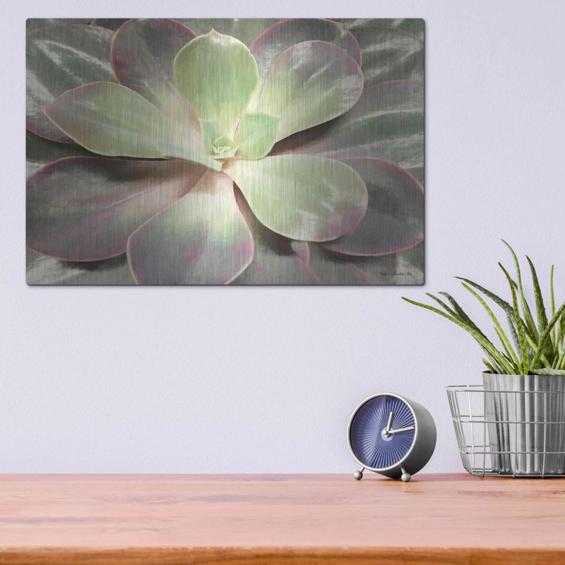 «Glowing Succulent I» par Lori Deiter, H 12 po x l 16 po