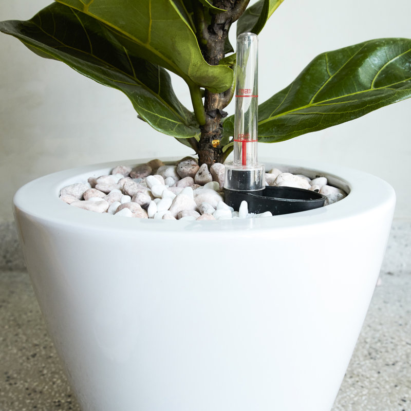 Smart Self-Watering Planter Pot 2 - White Round Cone For Garden Enthusiast's Delight Plant Nurturing, White
