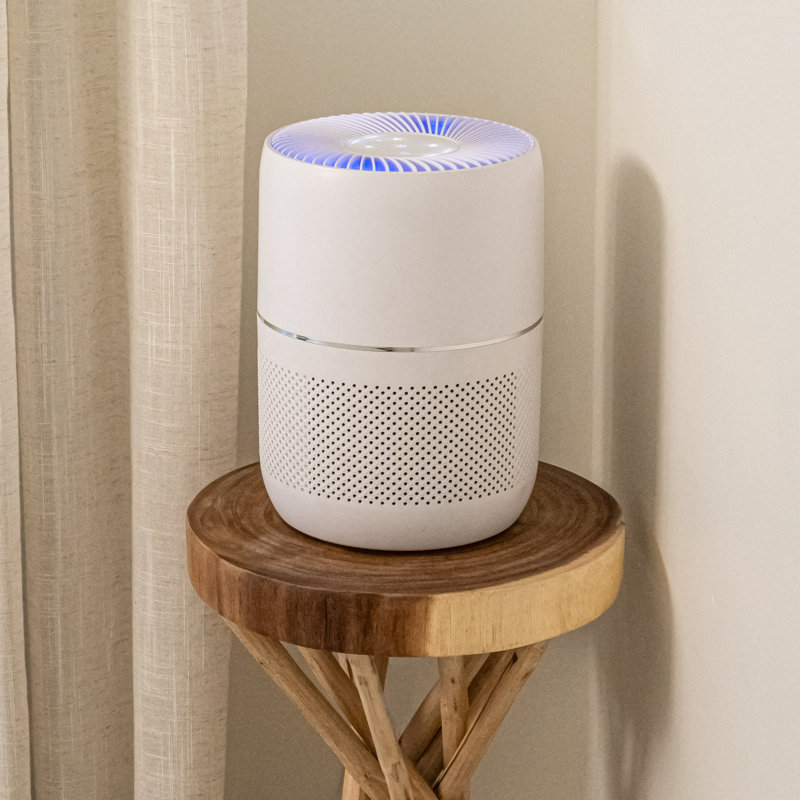 Oval White H13 HEPA Smart Desk Air Purifier