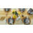 Leore Striped 100% Cotton Table Runner-1551842433-1551842436