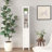 66.92" Tall Bathroom Storage Cabinet With Adjustable Shelves,Slim 1 Doors Freestanding Cabinet With Anti-Tip, Open Compartments, For Home, Small Spaces, Bathroom,Kitchen, Living Room, White