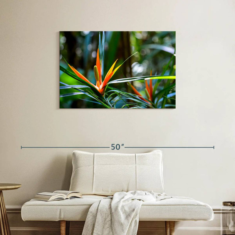 Harnek, oiseaux tropicaux du paradis, H 24 po x l 36 po