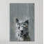 «Bonjour Llama II», reproduction sur toile tendue-27175493