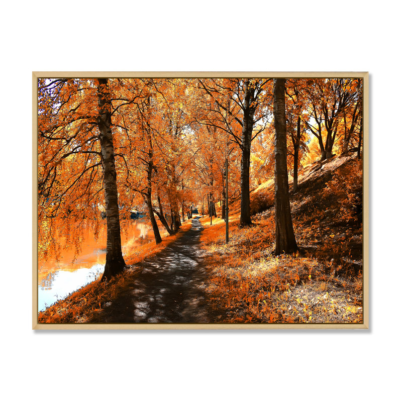 Mystic Yellow Fall Forest II - On, H 24 po x l 36 po x P 0,1 po, Toile avec cadre flottant brun