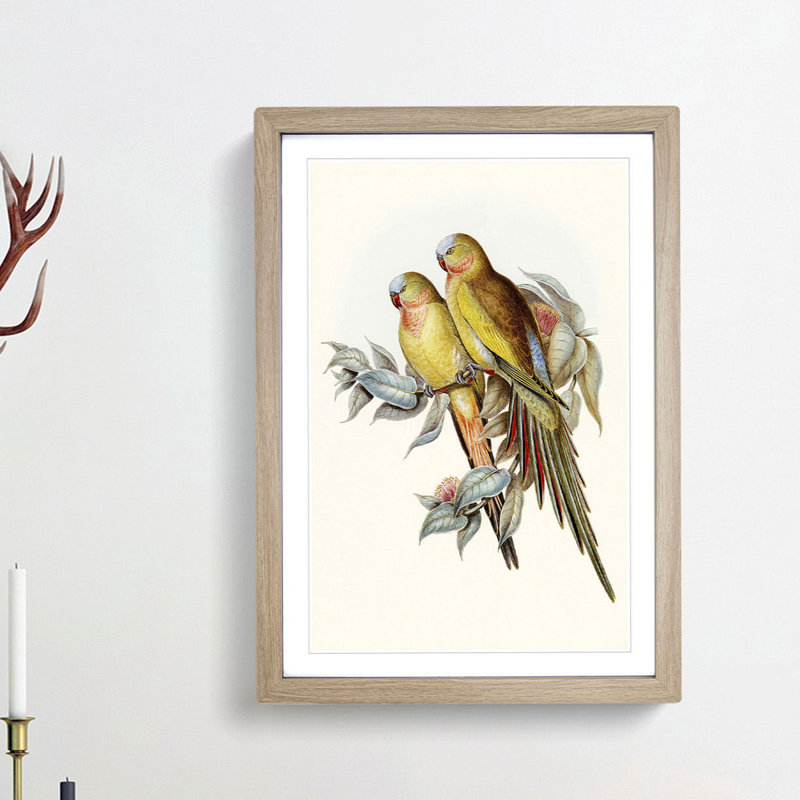 Princess of Wales's Parakeets by Elizabeth Gould - Picture Frame Painting Print, Oak Framed, 65cm H x 48cm W x 2cm D