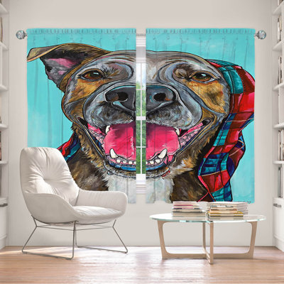 Room Darkening Curtain Pair
