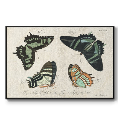 " Crackled Butterflies III " Print