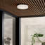 Cirque LED Outdoor Flush Mount-56359842