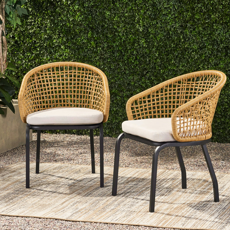 Élégante chaise de patio - PE brun, structure en fer, coussins d'eau et rembourrage en métal robuste pour cour arrière