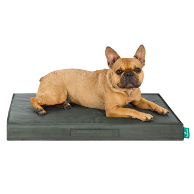 Premium Indoor-Outdoor Deluxe Mattress Dog Bed