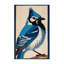  Tapis lavable bleu Jay-1446156139