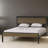 Padgett Platform Bed Frame-24254312-24254318