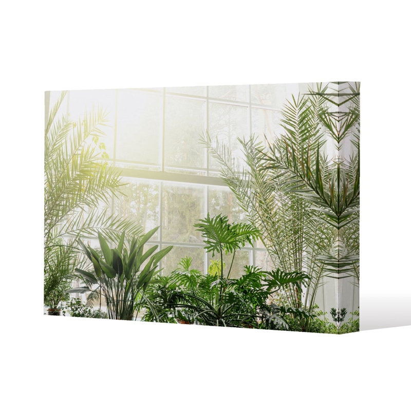 plants in botanical gardens Slim Style Canvas Print, 15mm Slim Real wood., 20 cm H x 30 cm W