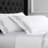 Canberra Floral Sheet Set-80822266-80822263