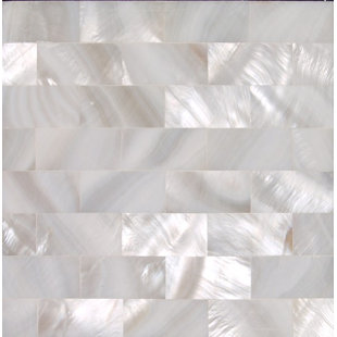 Authentic SeaShell Decorative Tile Insert (Set of 36)