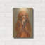 «Caniche abricot» par Solveiga-1638735179