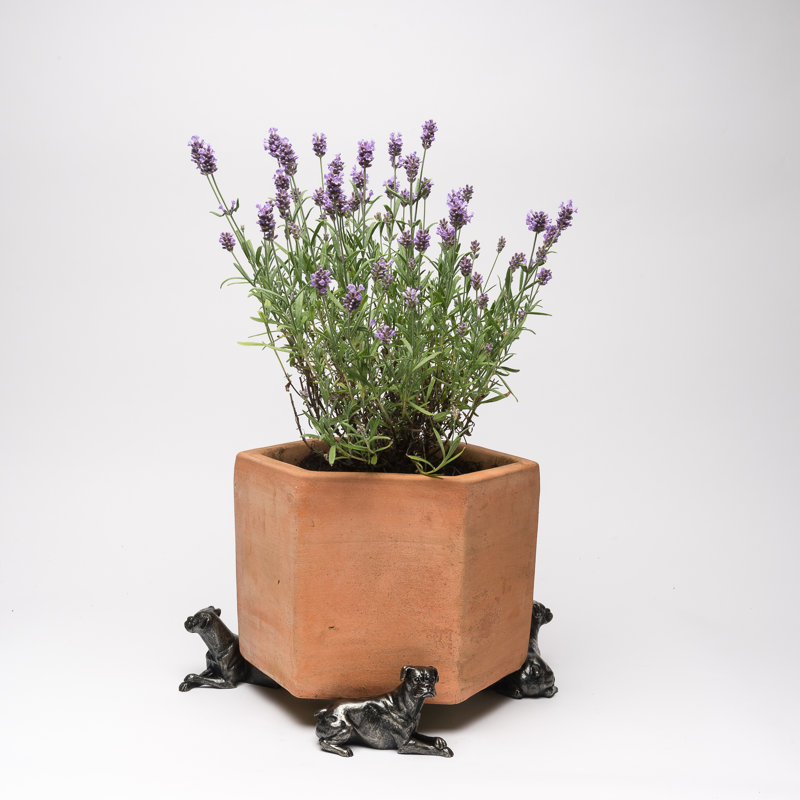 Marceline Weather Resistant Planter Feet