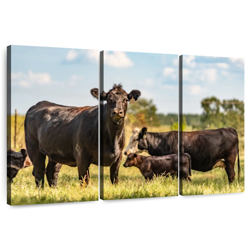 Brampt Grazing Angus Cows, 48" H x 74" W