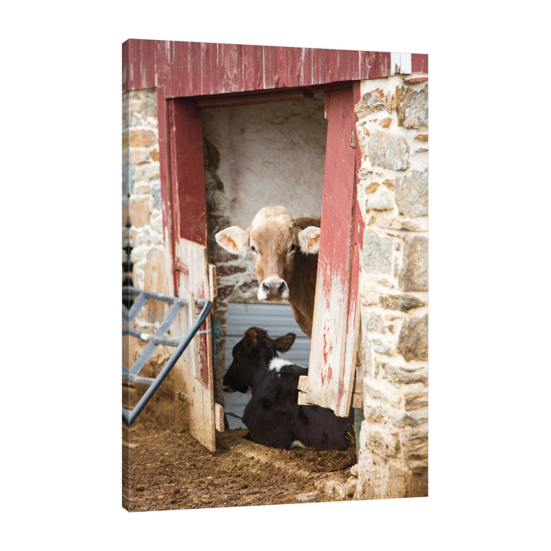Resting by Aledanda - Wrapped Canvas Photograph, 42" H x 28" W x 1.5" D