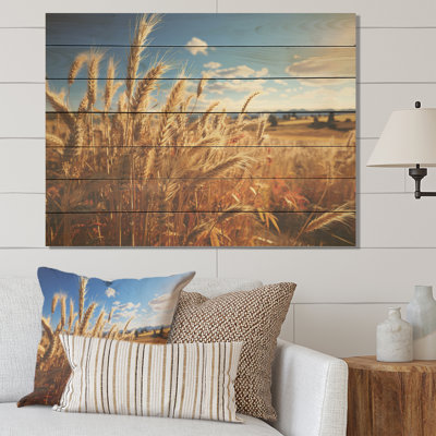 Golden Harvest Meadow Horizon IV - prairie sur bois
