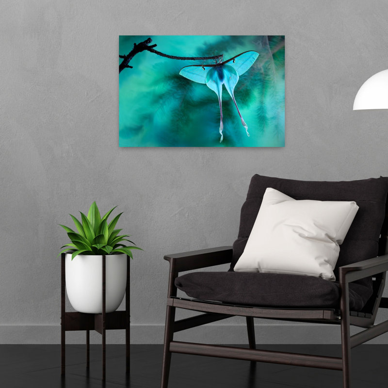 Green Luna Moth Delicate Ethereal Serene Moth Nature Tropical Wall Art Print 1 Piece Wrapped Canvas Wall Art