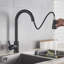 Belfry Kitchen Larsen Pull Out Kitchen Faucet