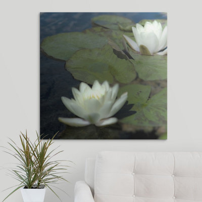 « i » par jennifer broussard, reproduction de photo Water Lilies
