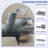Adjustable Futon Sofa Bed with Cat-Scratch-Proof Fabric and Convertible Design-1138363695