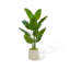 Simulation de banane grande plante verte-111038385