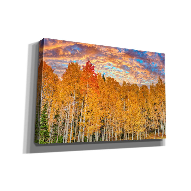 «Wyoming Autumn Aspens On Canvas» par Mark A Paulda, reproduction, H 40 po x l 60 po x P 1,5 po