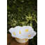 Maria Flor Earthenware Salad Bowl