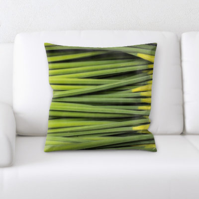 Coussin décoratif