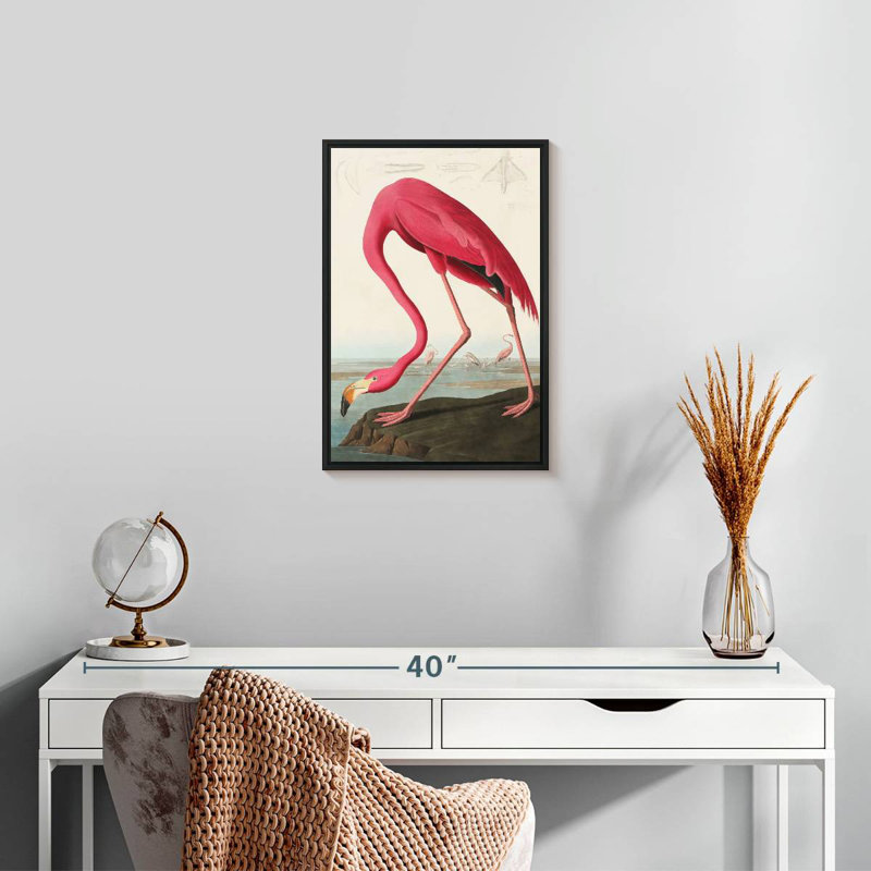 Flamant américain, 13 po x 19 po, Cadre flottant noir