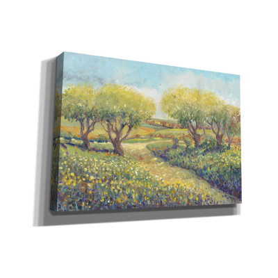 «Garden Path II» par Tim O'toole, art mural sur toile