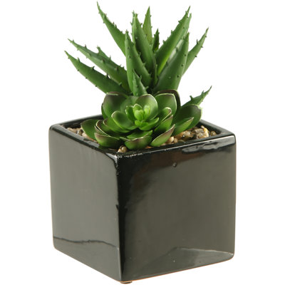 Faux Succulent in Ceramic Planter