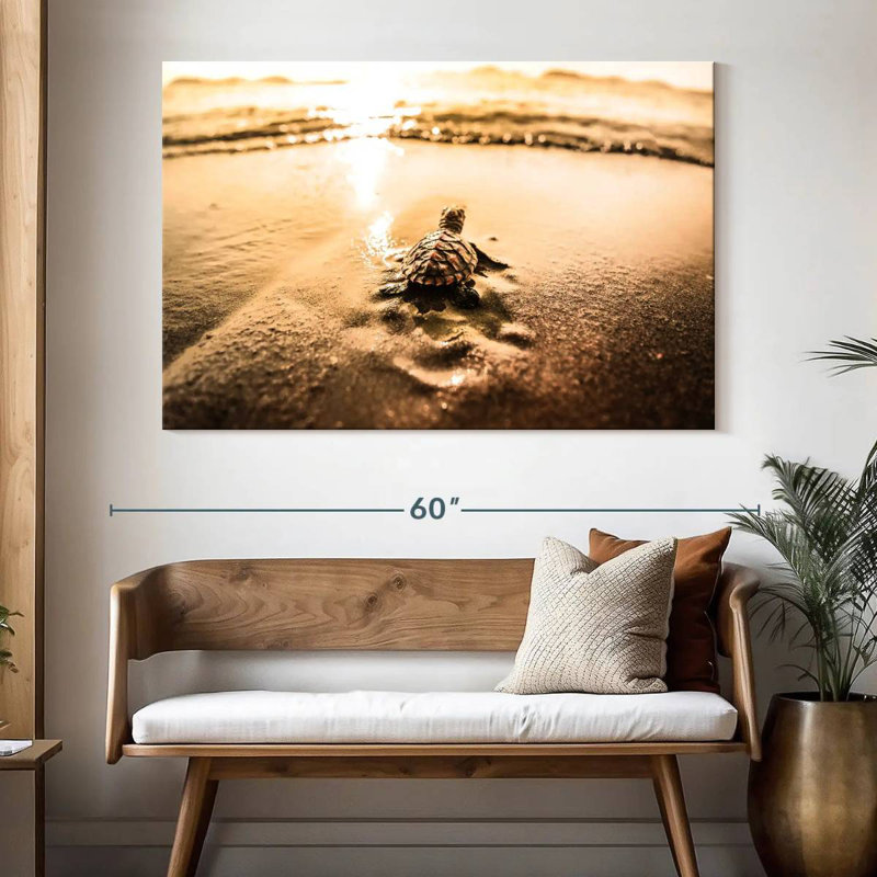 «Brampt Little Sea Turtle Adventure», H 34 po x l 51 po