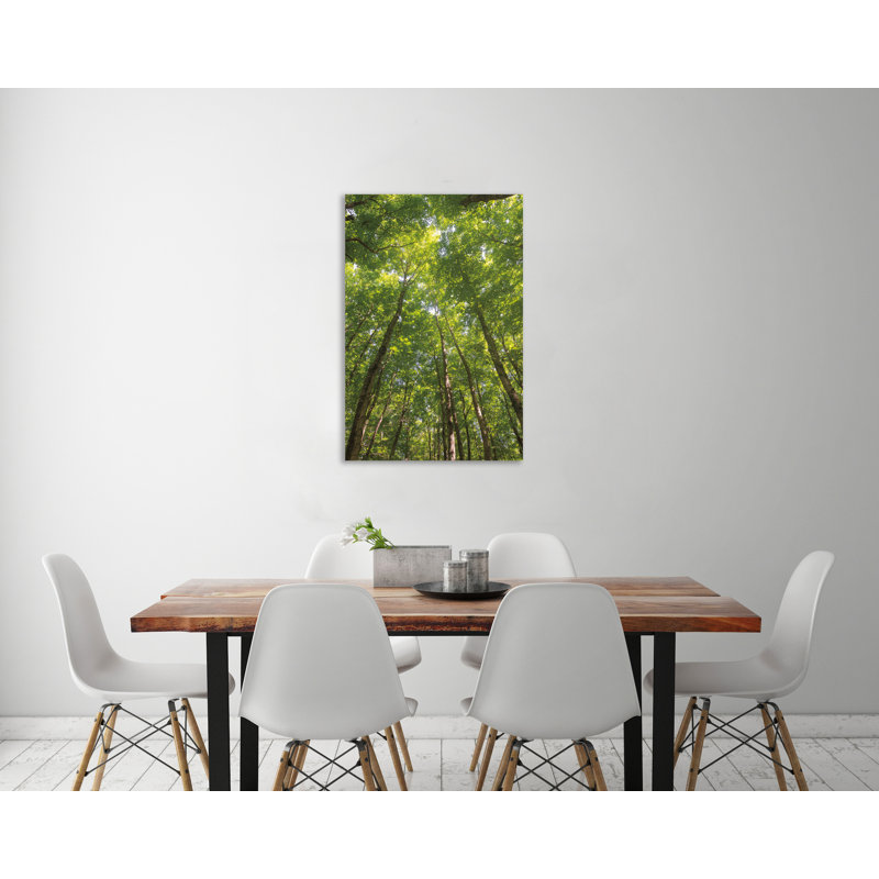 «Hardwood Forest Canopy II», toile tendue par Alan Majchrowicz, H 18 po x l 12 po x P 1,5 po