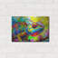 Art mural en métal Winston Porter «The Karma Chameleon» par Dean Russo-1219253638