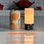 Lampe de table moderne moderne rechargeable en albâtre avec DEL intégrée-2009492521