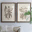 Antique sépia botanicals vii - ensemble de 2 reproductions d'art sur papier encadré-80308541-80308539