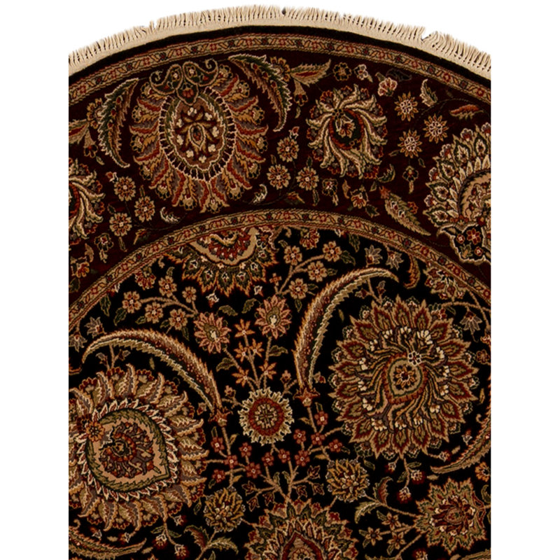 Wool Oriental Area Rug in Black/Wine