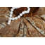 Trees Lumbar Pillow Cover & Insert
