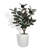 TREE RUBBER POT 5FT